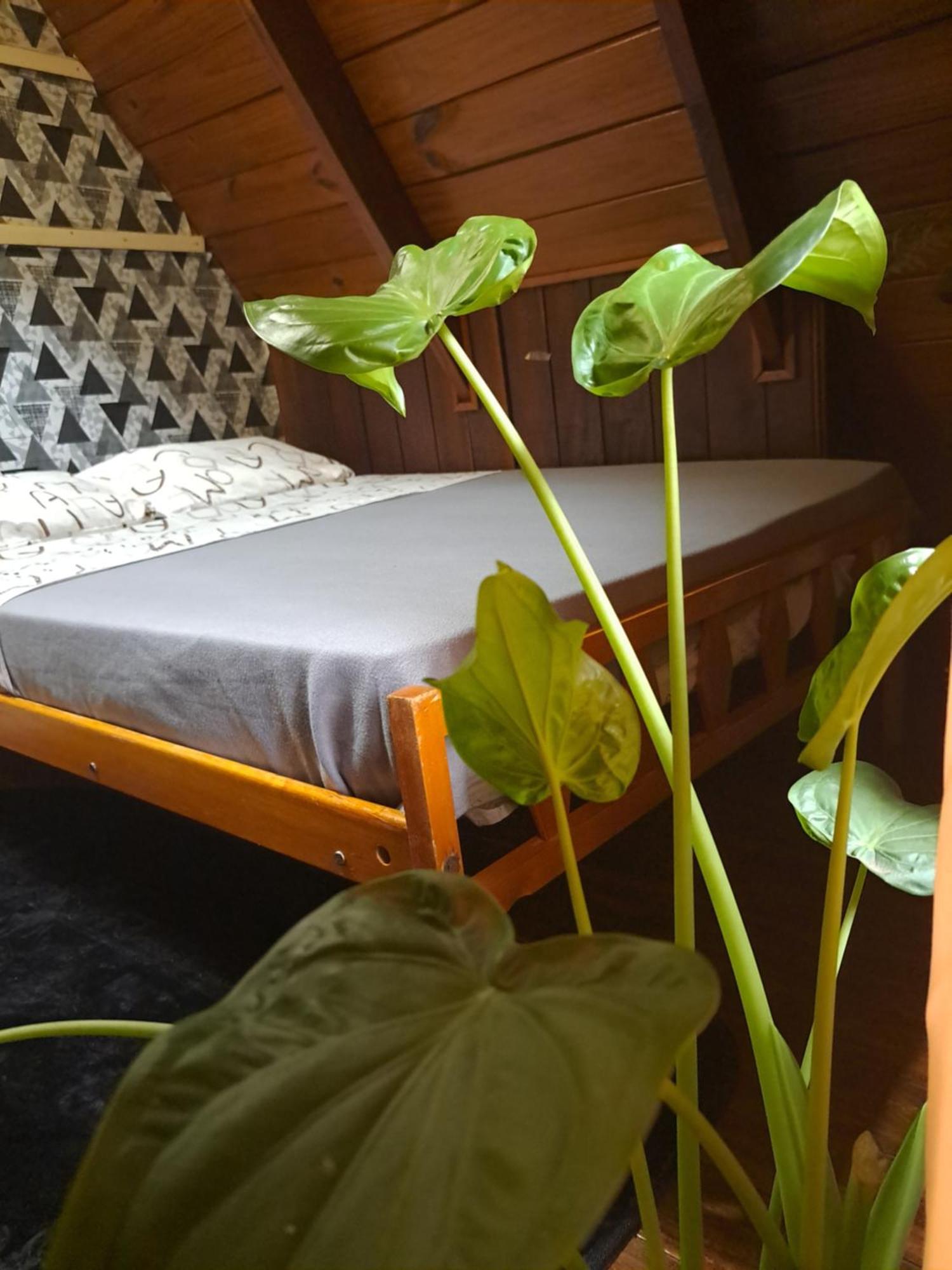 Bungalow Hostel Iguazu Puerto Iguazú Kültér fotó